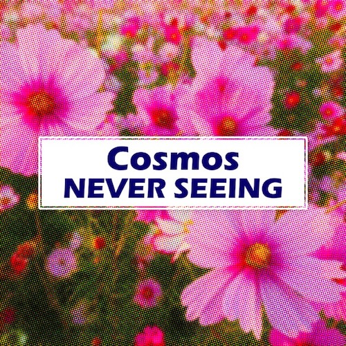 Cosmos
